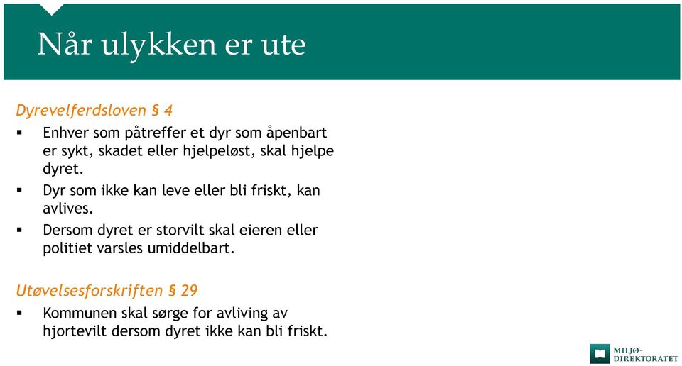 Dyr som ikke kan leve eller bli friskt, kan avlives.