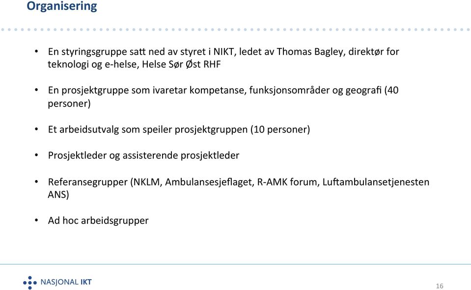 personer) Et arbeidsutvalg som speiler prosjektgruppen (10 personer) Prosjektleder og assisterende