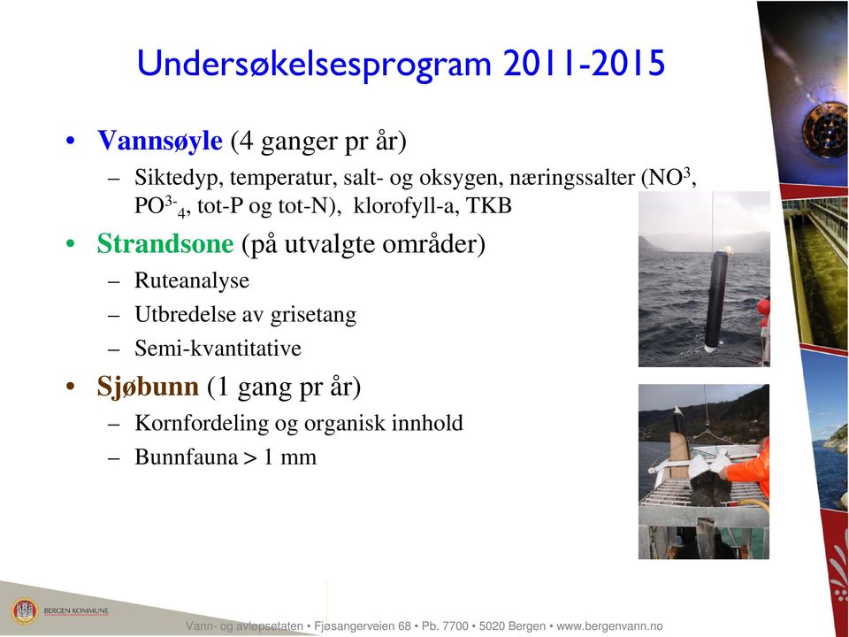 Ruteanalyse Utbredelse av grisetang Semi-kvantitative Sjøbunn (1 gang pr år) Kornfordeling og