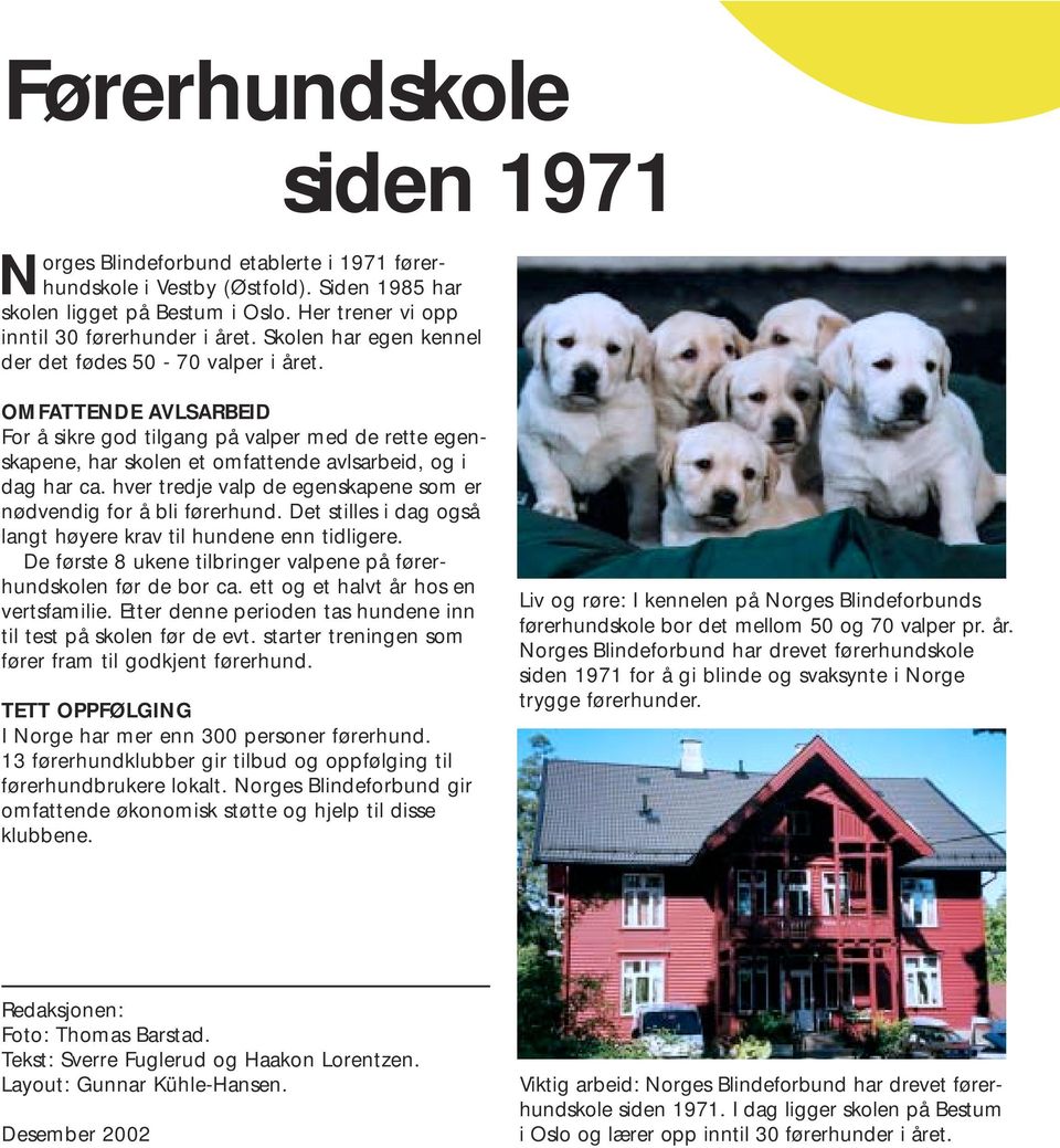 hver tredje valp de egenskapene som er nødvendig for å bli førerhund. Det stilles i dag også langt høyere krav til hundene enn tidligere.