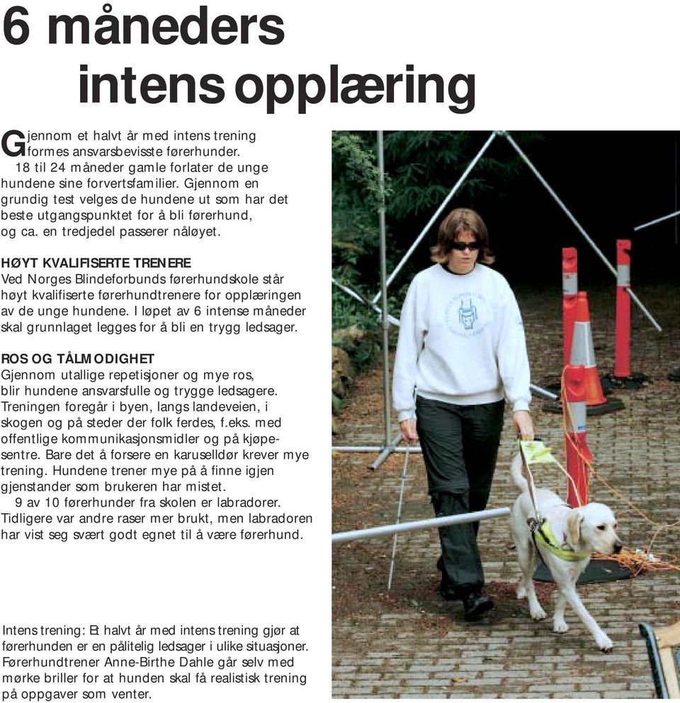HØYT KVALIFISERTE TRENERE Ved Norges Blindeforbunds førerhundskole står høyt kvalifiserte førerhundtrenere for opplæringen av de unge hundene.