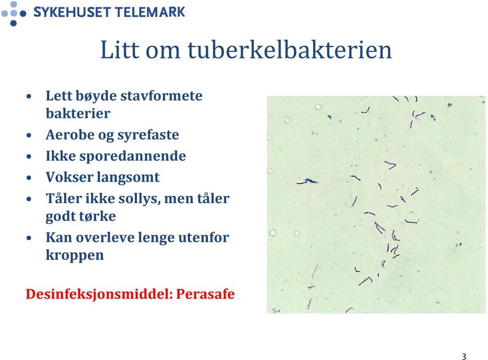 Vokser langsomt Tåler ikke sollys, men tåler godt