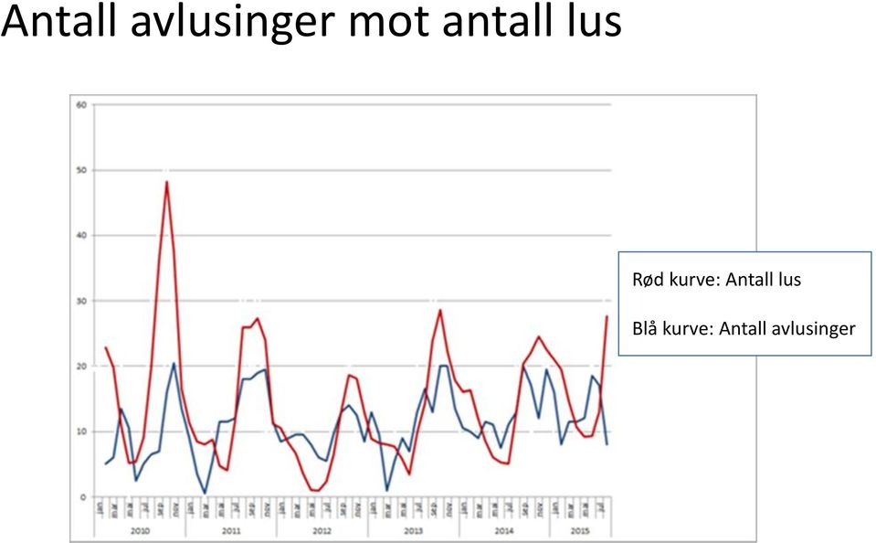 kurve: Antall lus