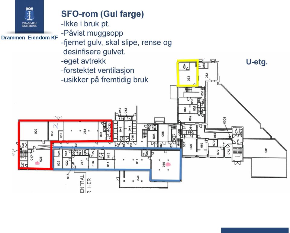 rense og desinfisere gulvet.