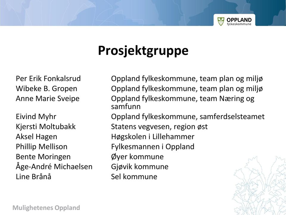 Michaelsen Line Brånå Oppland fylkeskommune, team plan og miljø Oppland fylkeskommune, team plan og miljø Oppland