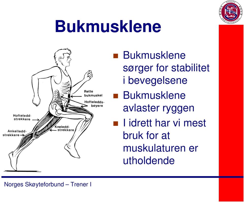 avlaster ryggen I idrett har vi mest