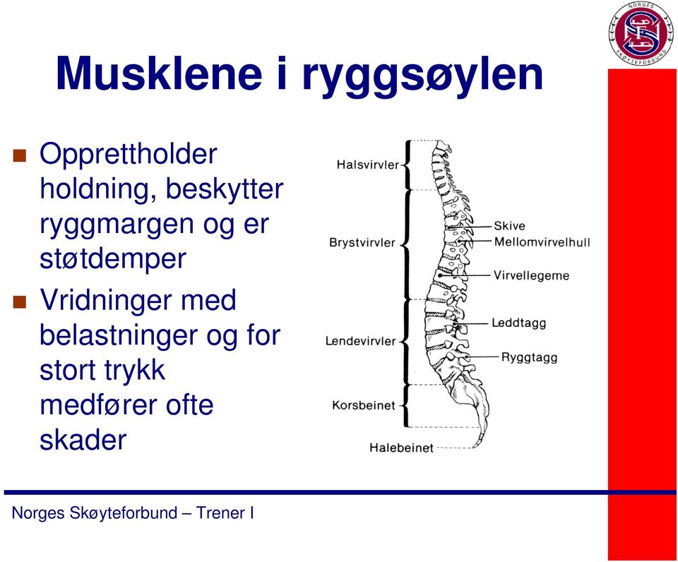 støtdemper Vridninger med