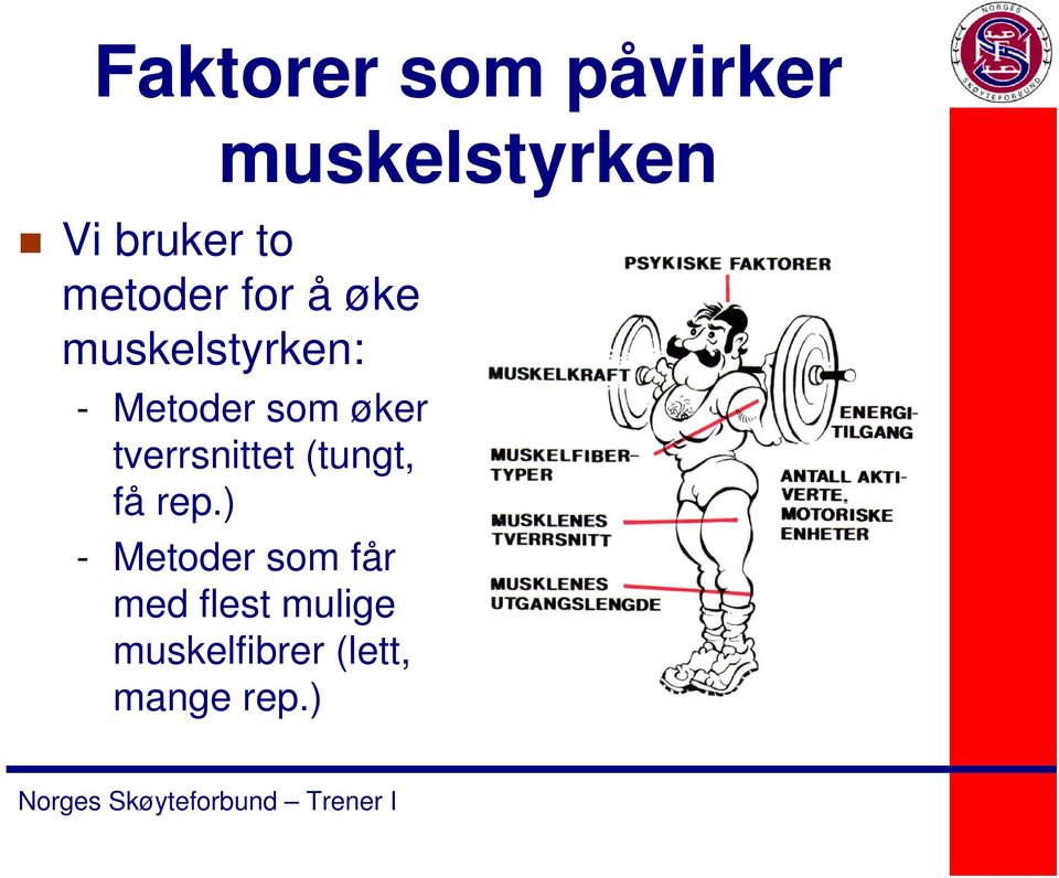 øker tverrsnittet (tungt, få rep.