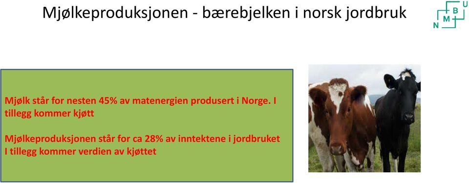 I tillegg kommer kjøtt Mjølkeproduksjonen står for ca 28%