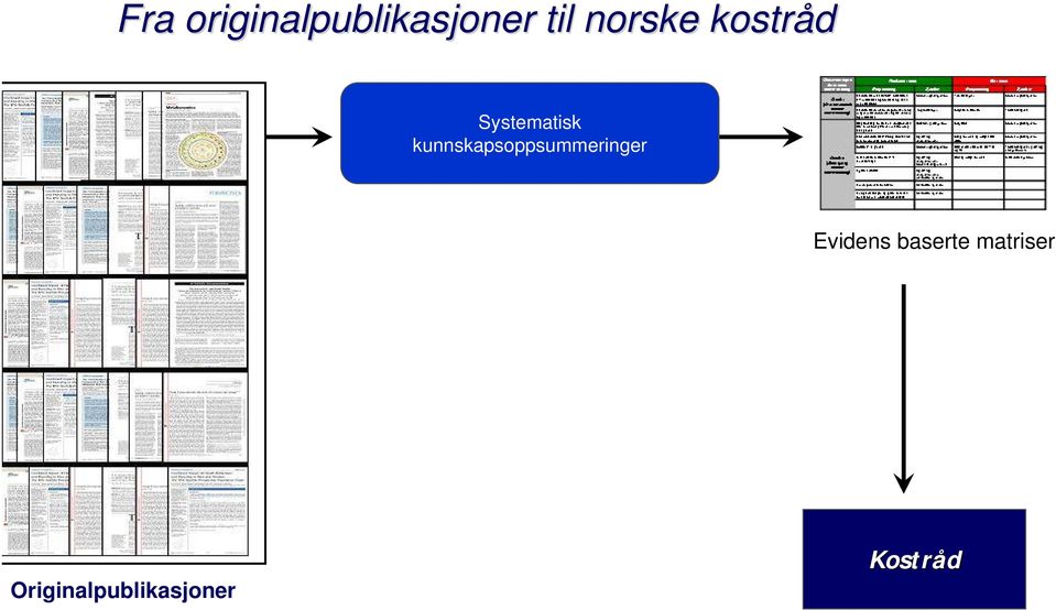 kunnskapsoppsummeringer Evidens