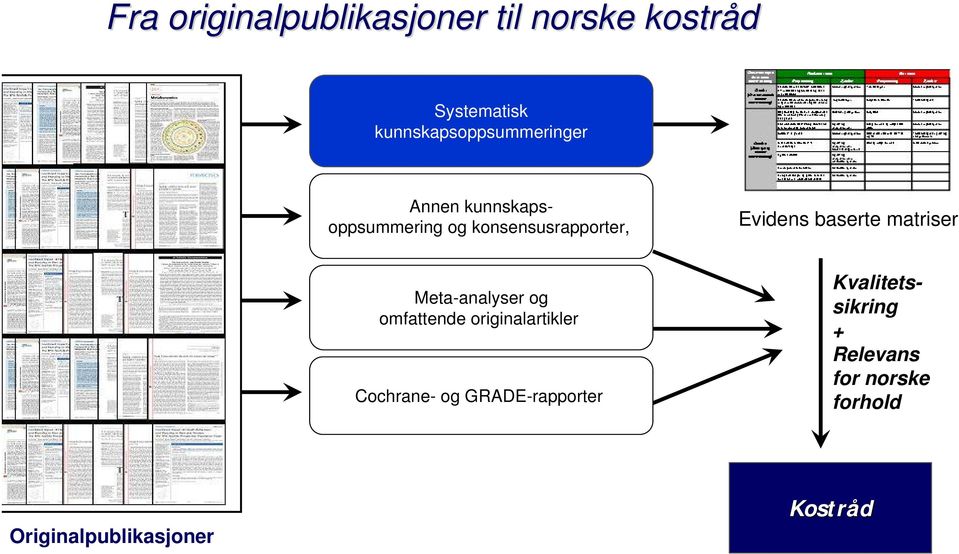 Evidens baserte matriser Meta-analyser og omfattende originalartikler