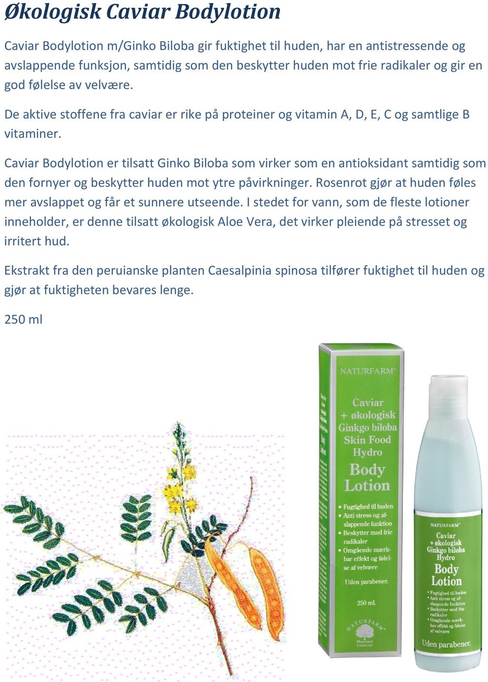 Caviar Bodylotion er tilsatt Ginko Biloba som virker som en antioksidant samtidig som den fornyer og beskytter huden mot ytre påvirkninger.