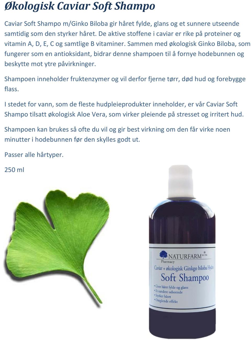 Sammen med økologisk Ginko Biloba, som fungerer som en antioksidant, bidrar denne shampoen til å fornye hodebunnen og beskytte mot ytre påvirkninger.