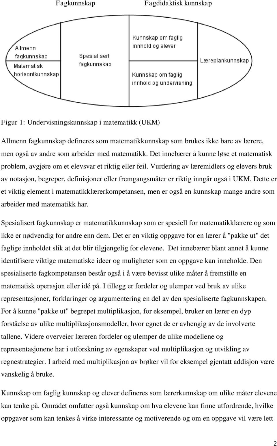 Vurdering av læremidlers og elevers bruk av notasjon, begreper, definisjoner eller fremgangsmåter er riktig inngår også i UKM.