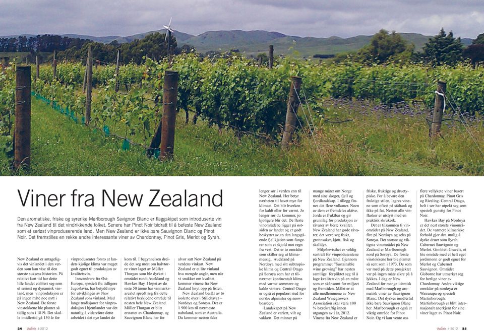 Det fremstilles en rekke andre interessante viner av Chardonnay, Pinot Gris, Merlot og Syrah. New Zealand er antageligvis det vinlandet i den verden som kan vise til den største suksess historien.