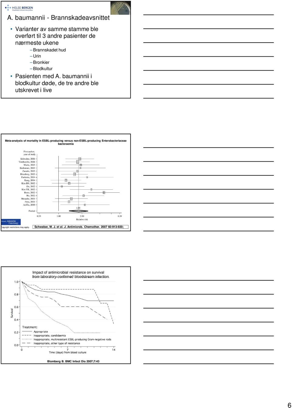 baumannii i blodkultur døde, de tre andre ble utskrevet i live Meta-analysis of mortality in ESBL-producing versus non-esbl-producing