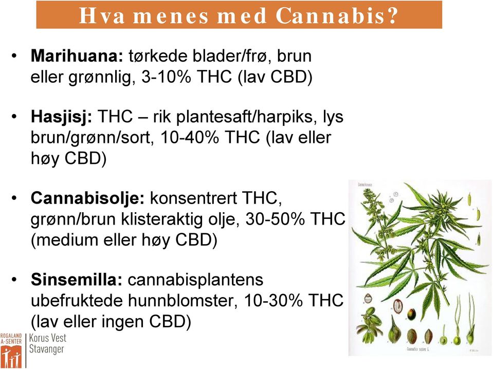 plantesaft/harpiks, lys brun/grønn/sort, 10-40% THC (lav eller høy CBD) Cannabisolje: