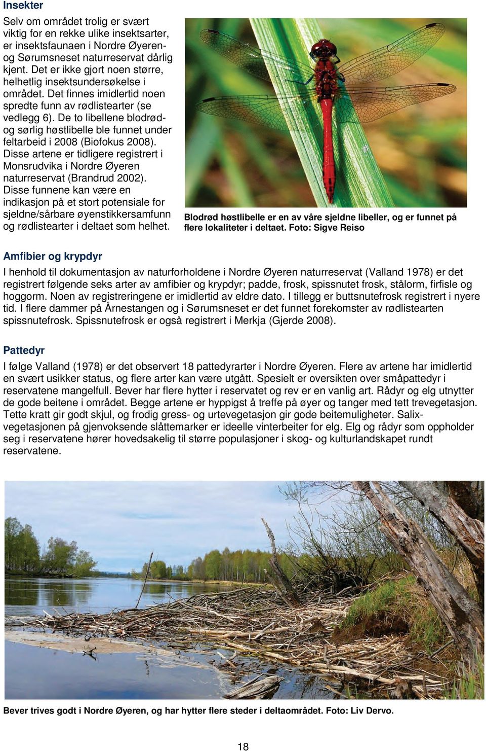 De to libellene blodrødog sørlig høstlibelle ble funnet under feltarbeid i 2008 (Biofokus 2008). Disse artene er tidligere registrert i Monsrudvika i Nordre Øyeren naturreservat (Brandrud 2002).