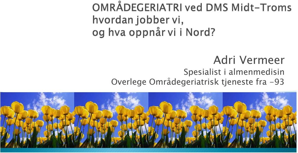 Områdegeriatrisk tjeneste fra