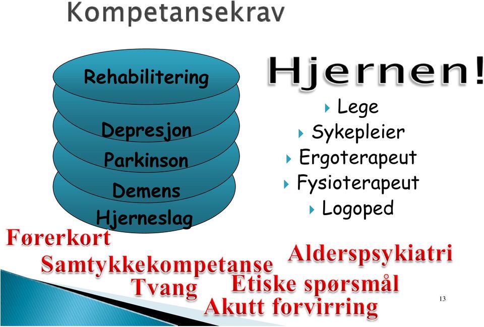 Hjerneslag Lege Sykepleier