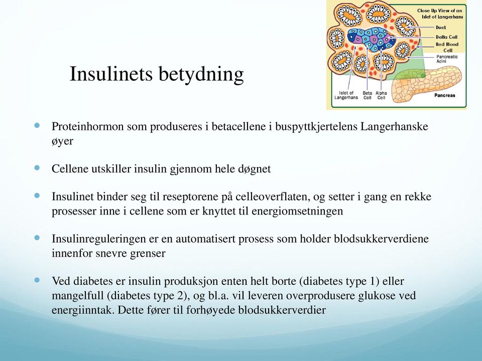 Insulinreguleringen er en automatisert prosess som holder blodsukkerverdiene innenfor snevre grenser Ved diabetes er insulin produksjon enten helt