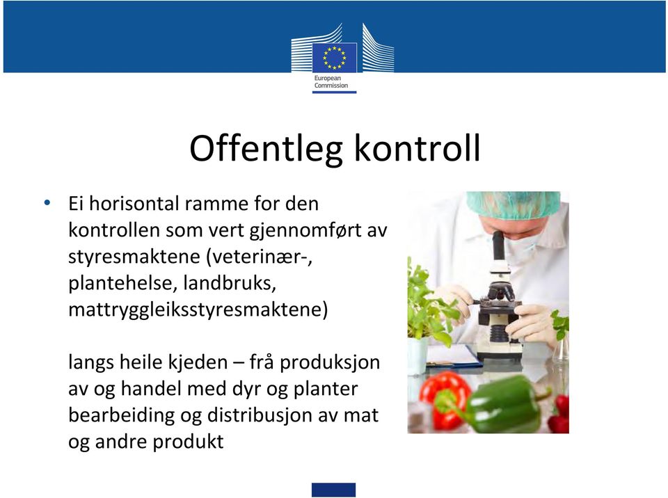 mattryggleiksstyresmaktene) langs heile kjeden frå produksjon av og