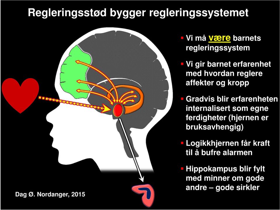 erfarenheten internalisert som egne ferdigheter (hjernen er bruksavhengig)