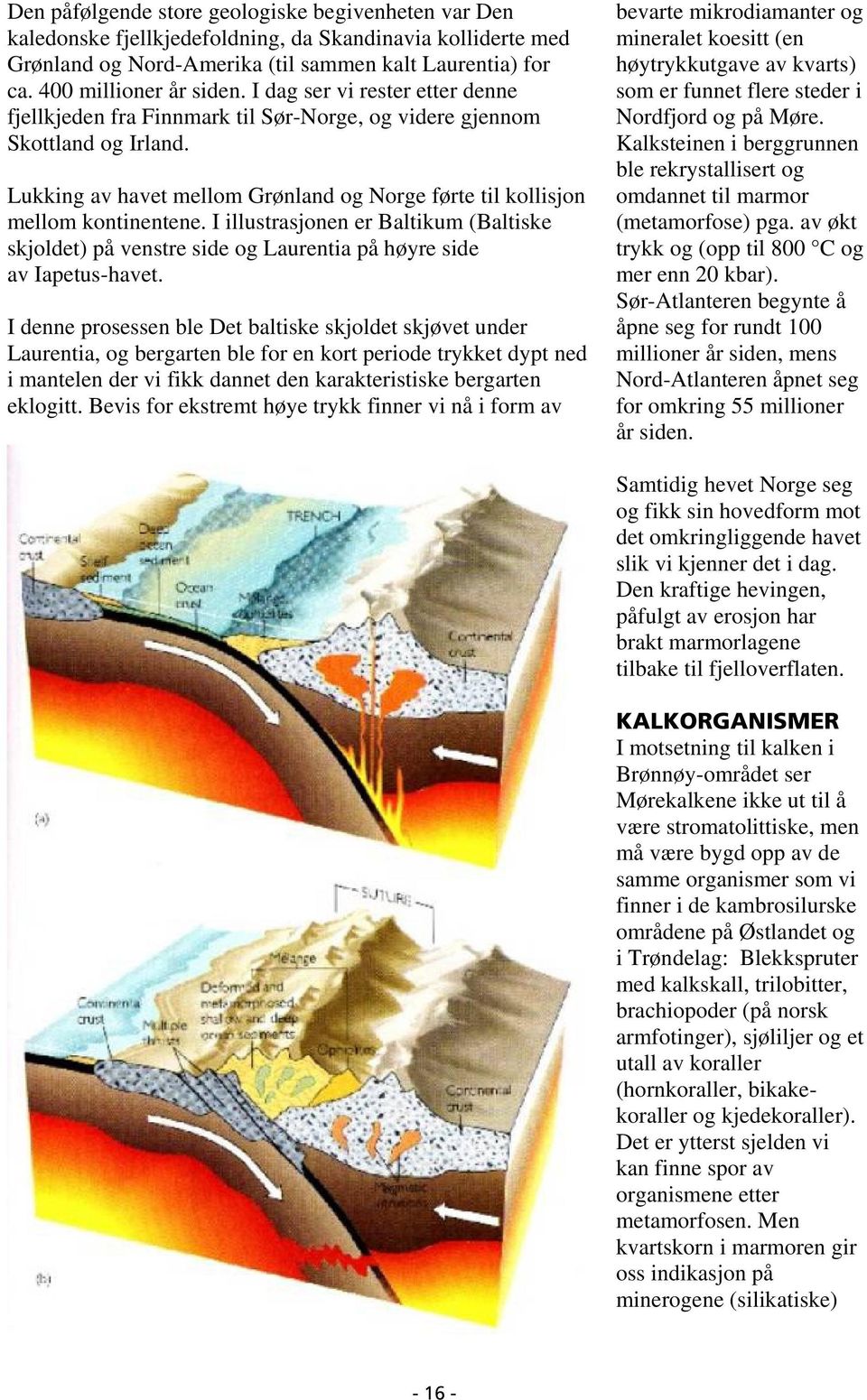 I illustrasjonen er Baltikum (Baltiske skjoldet) på venstre side og Laurentia på høyre side av Iapetus-havet.