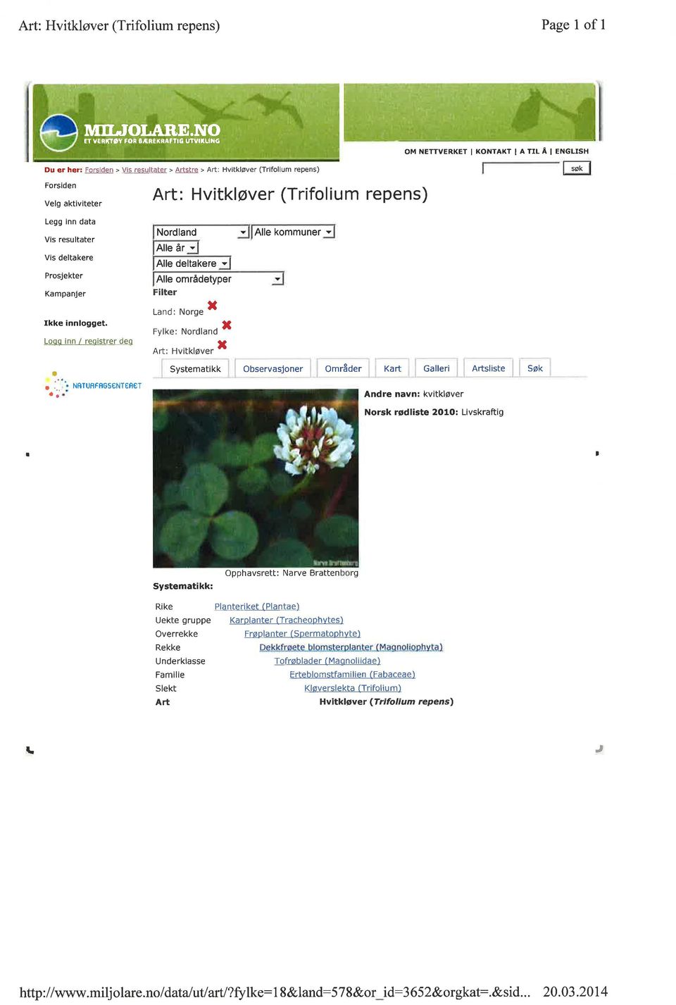 Hvitkløver (Trifolium repens) søk Legg inn data Vis resultater Vis deltakere Prosjekter Kampanjer kke nnlogget.