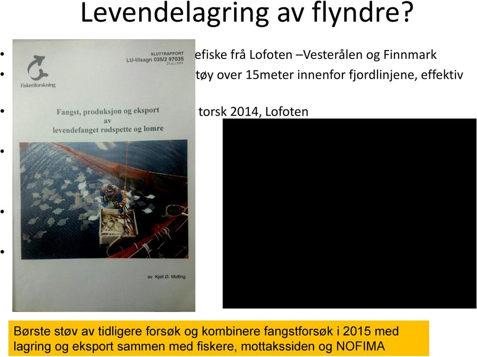 innenfor fjordlinjene, effektiv stopper for dette fisket.