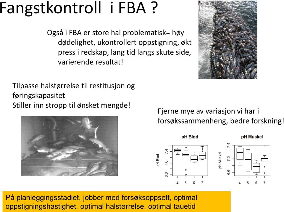 langs skute side, varierende resultat!