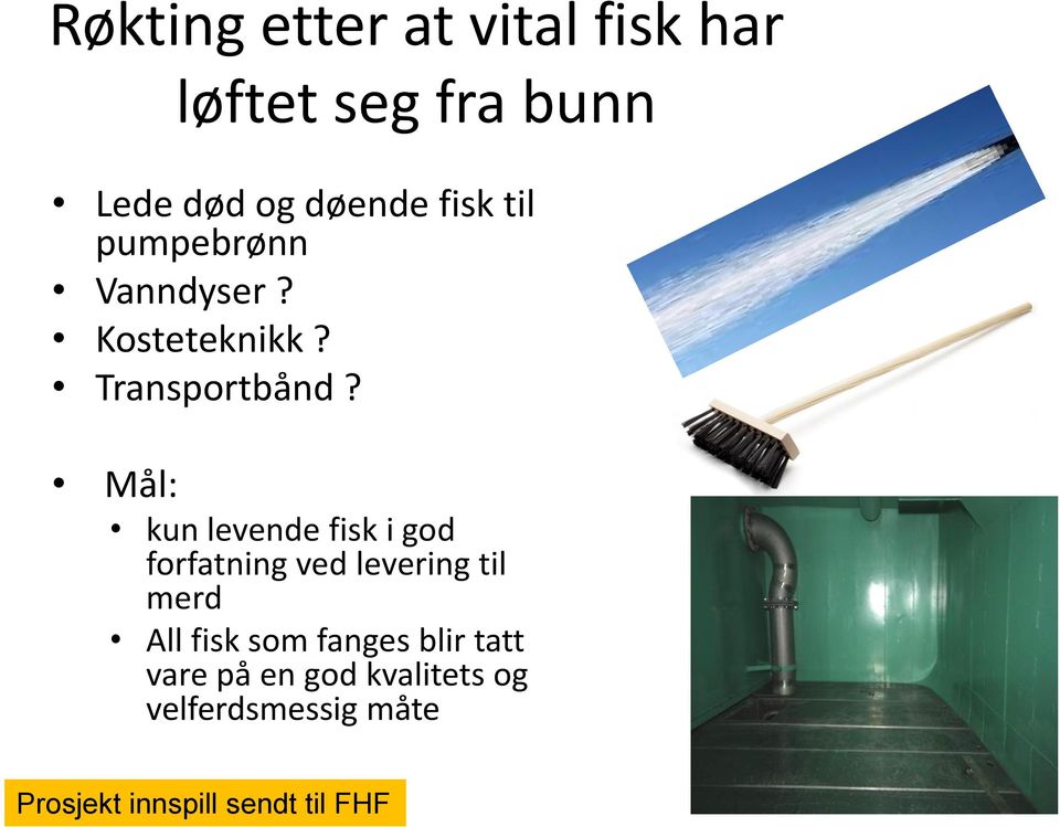 Mål: kun levende fisk i god forfatning ved levering til merd All fisk som