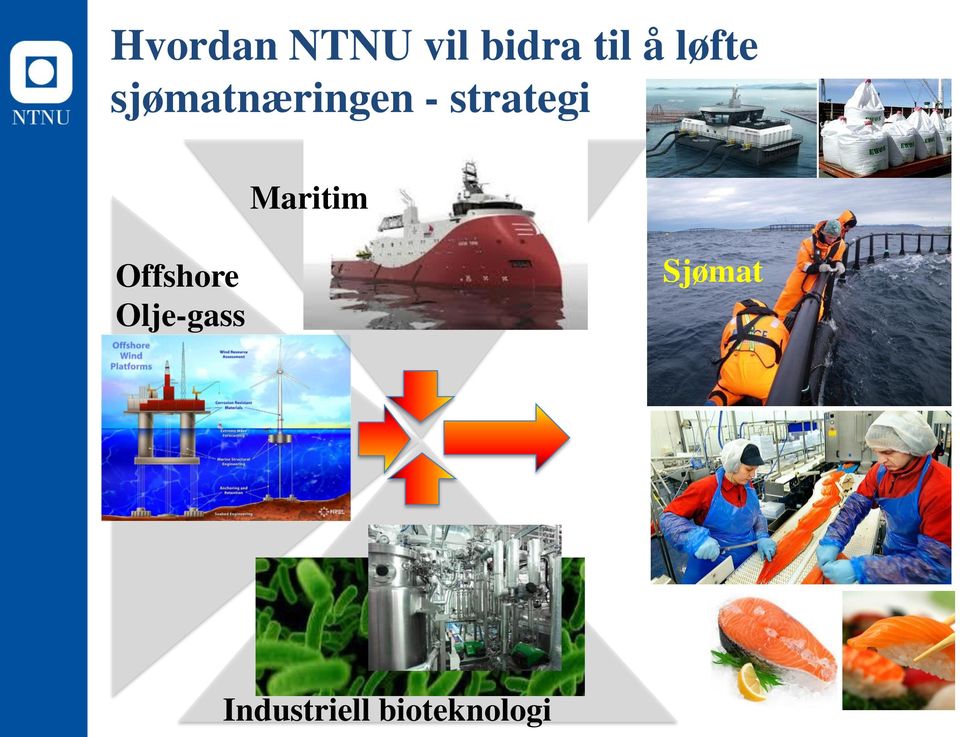 strategi Maritim Offshore