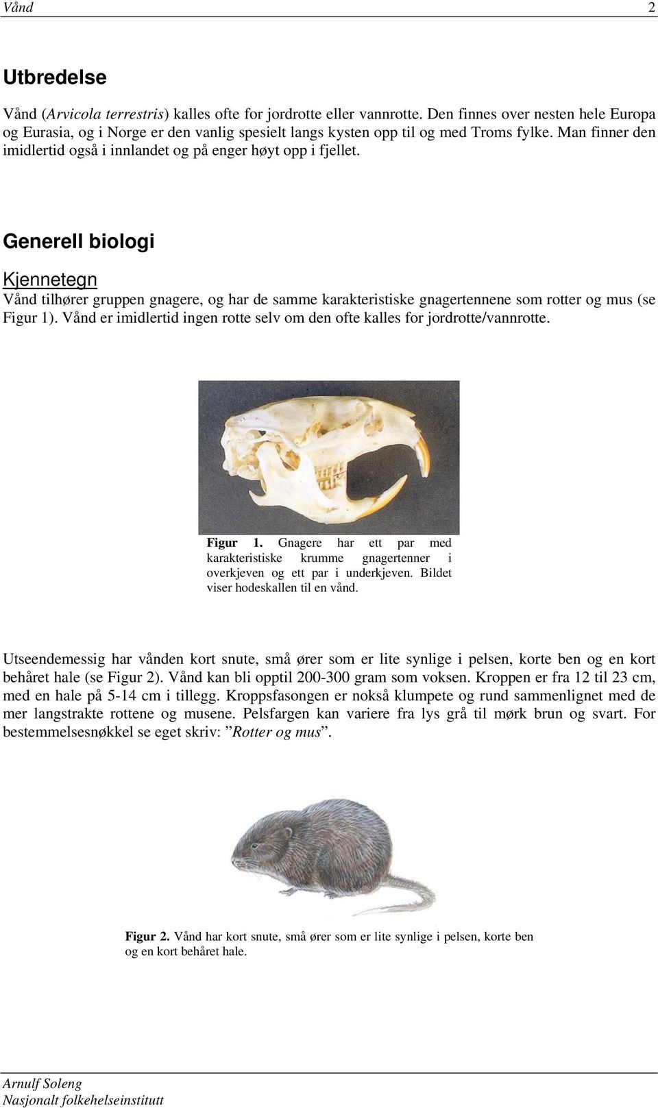 Generell biologi Kjennetegn Vånd tilhører gruppen gnagere, og har de samme karakteristiske gnagertennene som rotter og mus (se Figur 1).