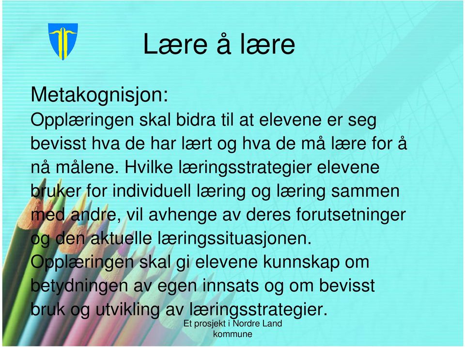 Hvilke læringsstrategier elevene bruker for individuell læring og læring sammen med andre, vil