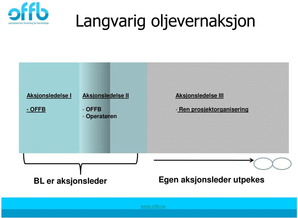 Aksjonsledelse III - Ren