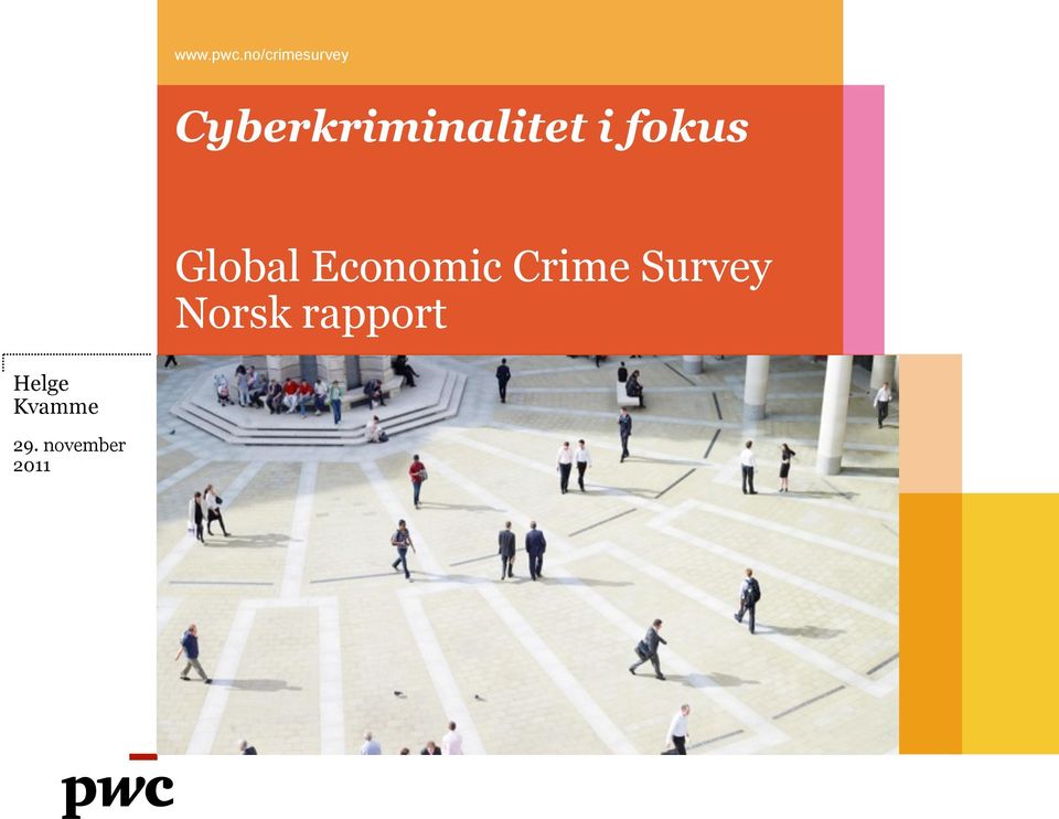 Cyberkriminalitet i fokus