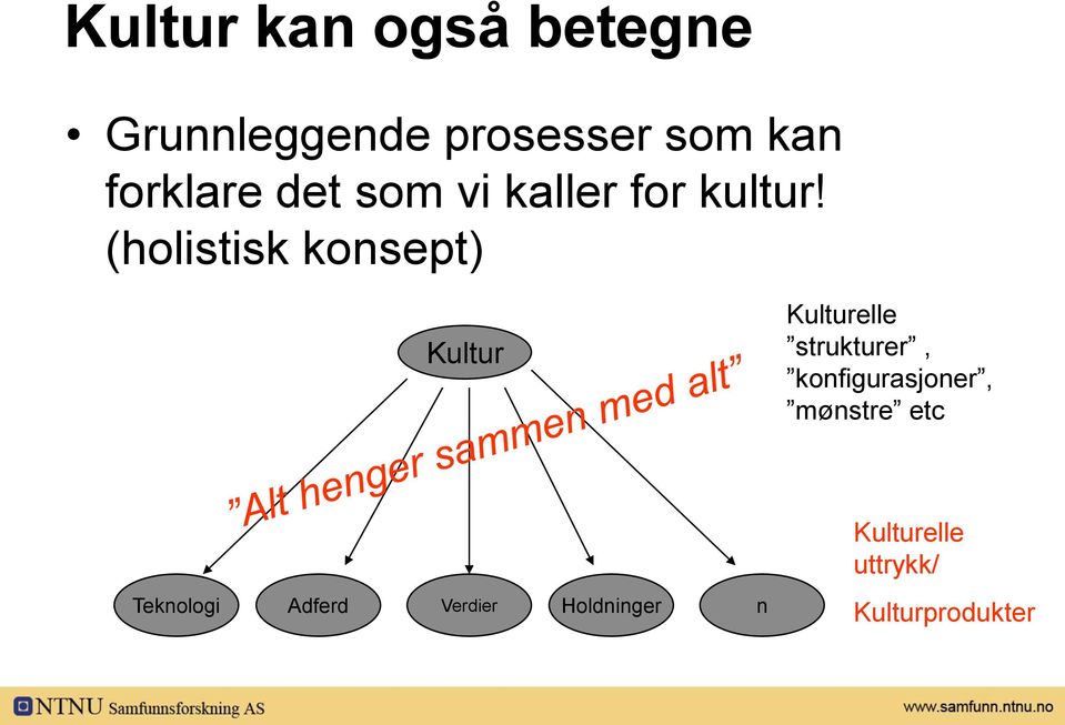 (holistisk konsept) Kultur Kulturelle strukturer,