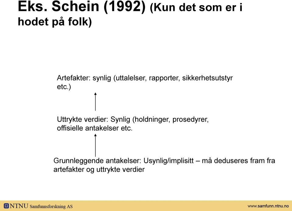 ) Uttrykte verdier: Synlig (holdninger, prosedyrer, offisielle