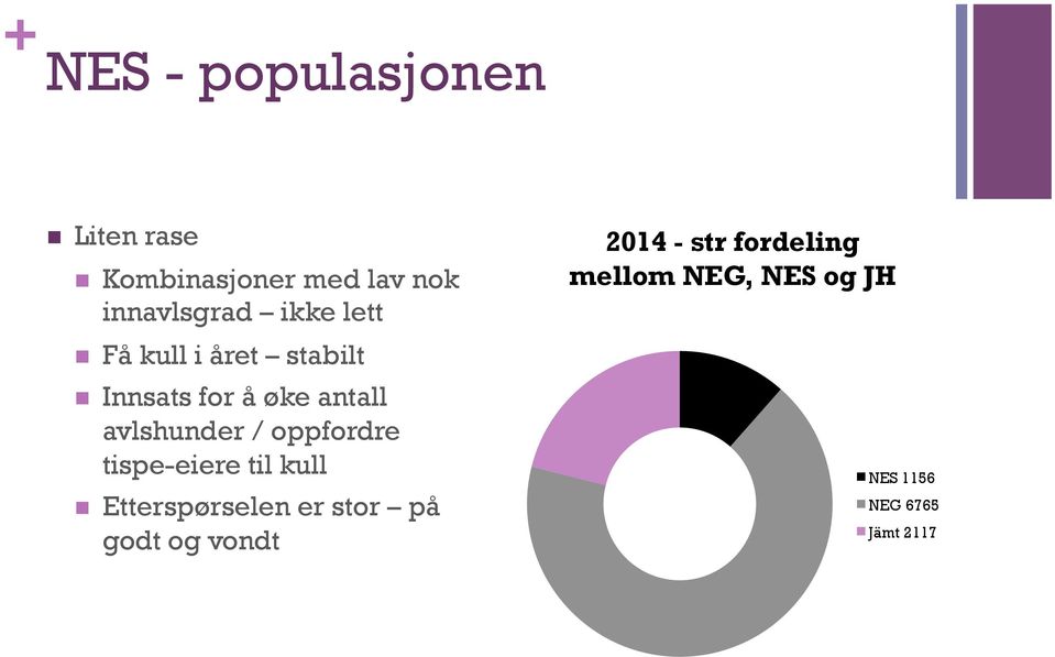 oppfordre tispe-eiere til kull Etterspørselen er stor på godt og vondt