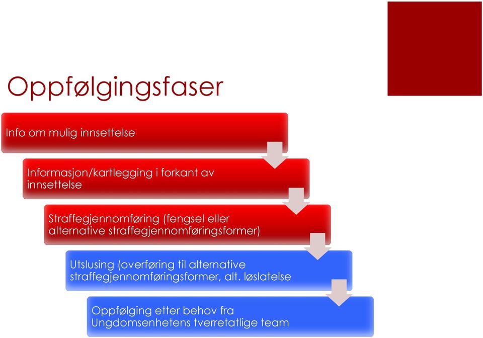 straffegjennomføringsformer) Utslusing (overføring til alternative