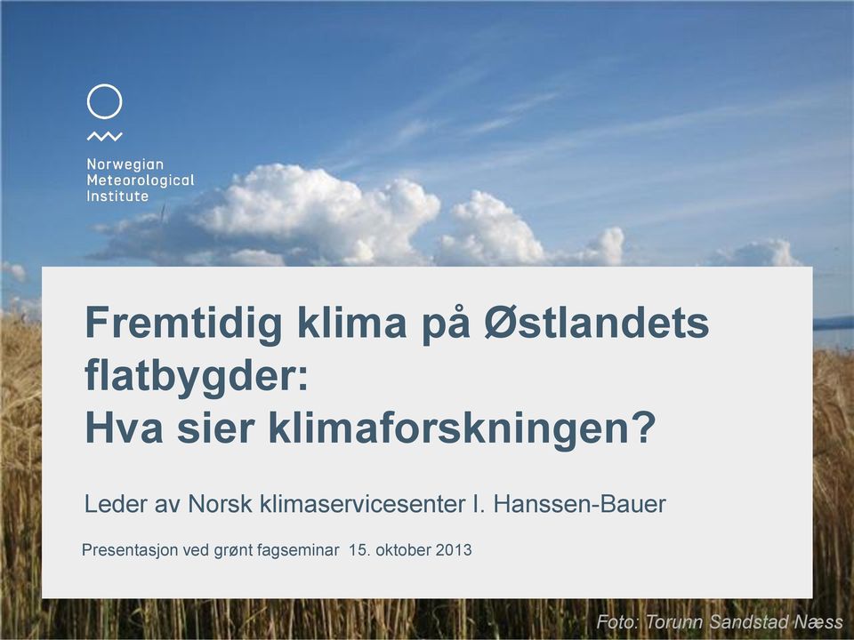 Leder av Norsk klimaservicesenter I.