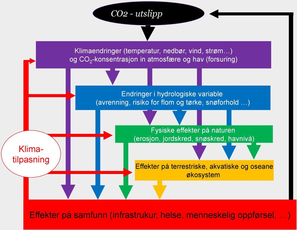 Klimatilpasning Fysiske effekter på naturen (erosjon, jordskred, snøskred, havnivå) Effekter på terrestriske,