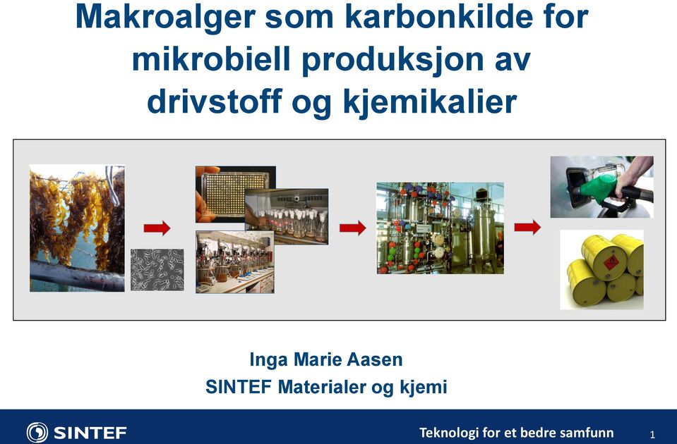 kjemikalier Inga Marie Aasen SINTEF