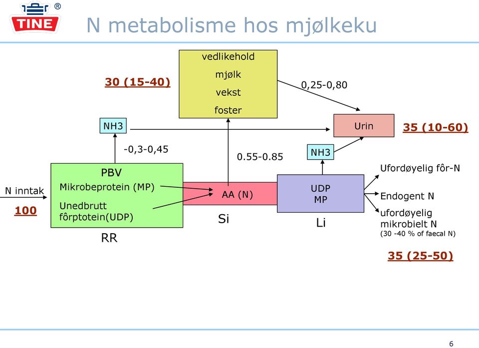 85 NH3 Ufordøyelig fôr-n N inntak 100 Mikrobeprotein (MP) Unedbrutt