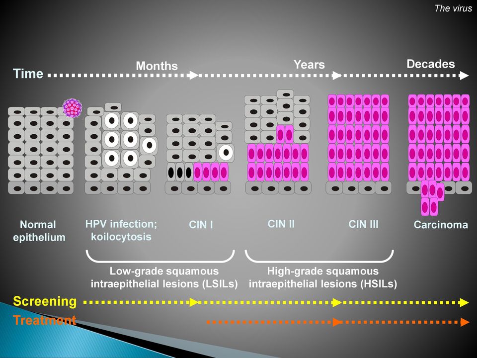 Screening Treatment Low-grade squamous intraepithelial