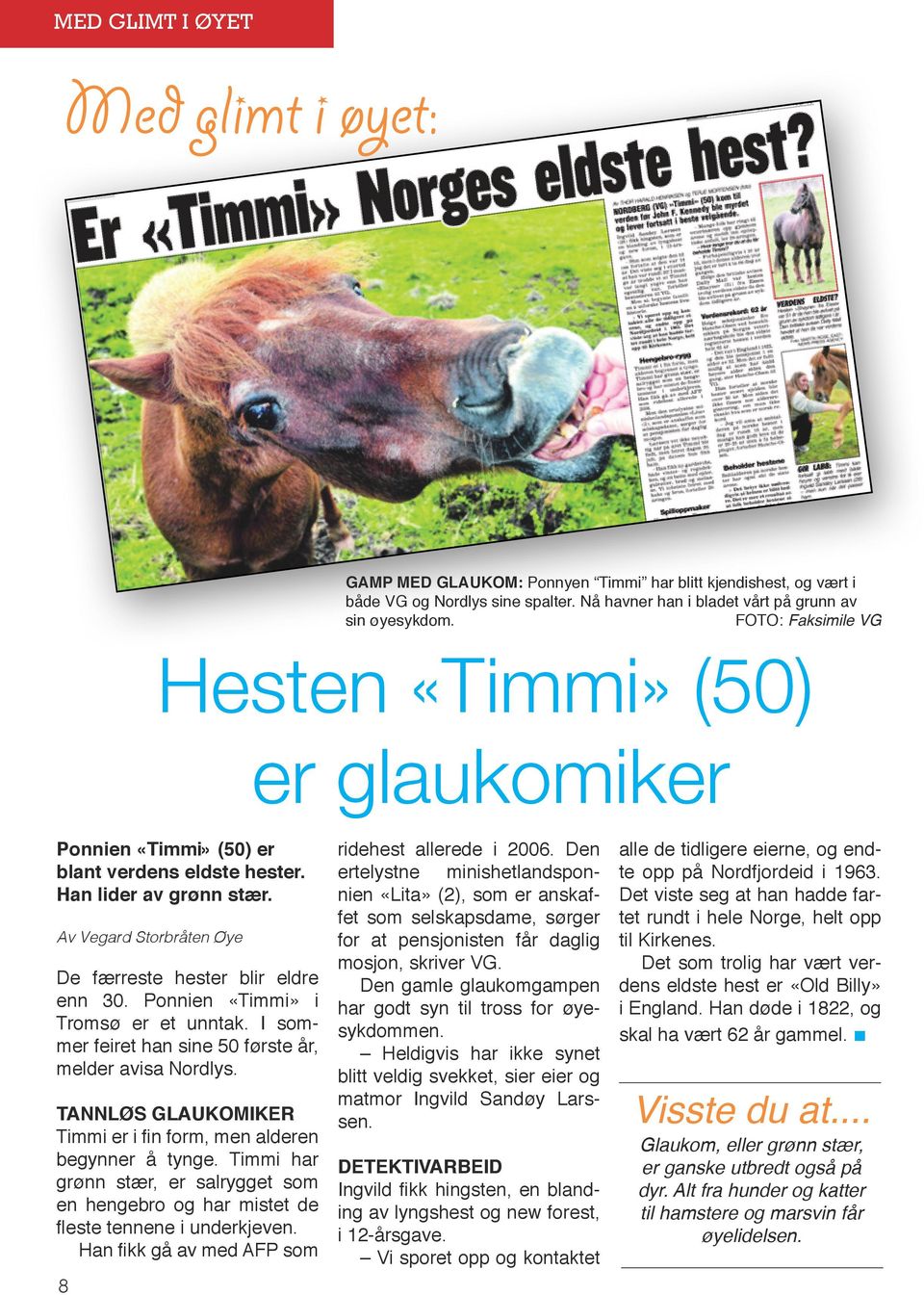 Ponnien «Timmi» i Tromsø er et unntak. I sommer feiret han sine 50 første år, melder avisa Nordlys. TANNLØS GLAUKOMIKER Timmi er i fin form, men alderen begynner å tynge.