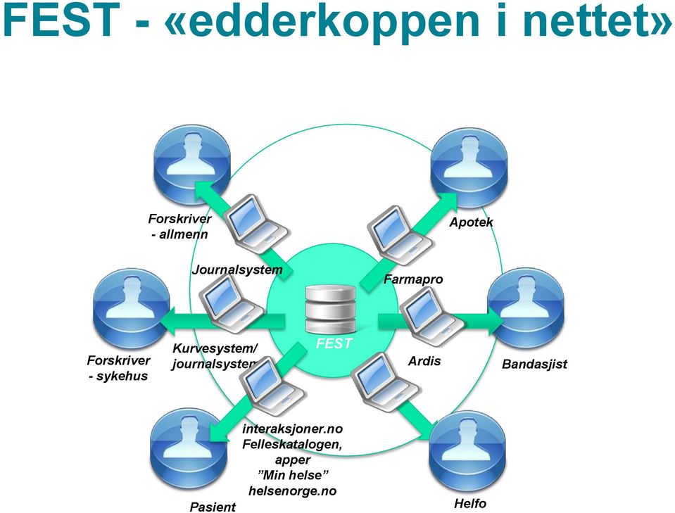 Kurvesystem/ journalsystem FEST Ardis Bandasjist Pasient