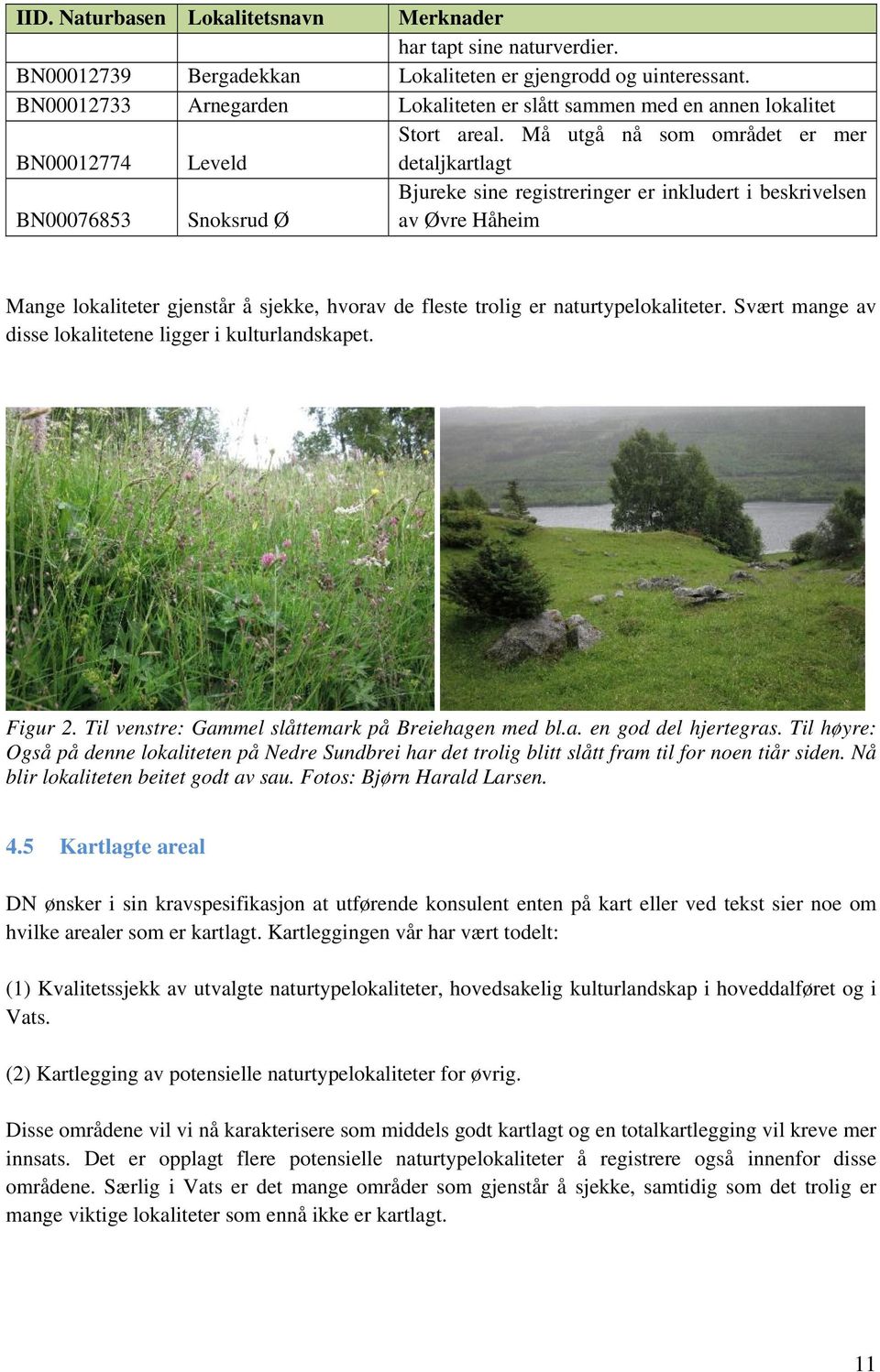 Må utgå nå som området er mer detaljkartlagt BN00076853 Snoksrud Ø Bjureke sine registreringer er inkludert i beskrivelsen av Øvre Håheim Mange lokaliteter gjenstår å sjekke, hvorav de fleste trolig