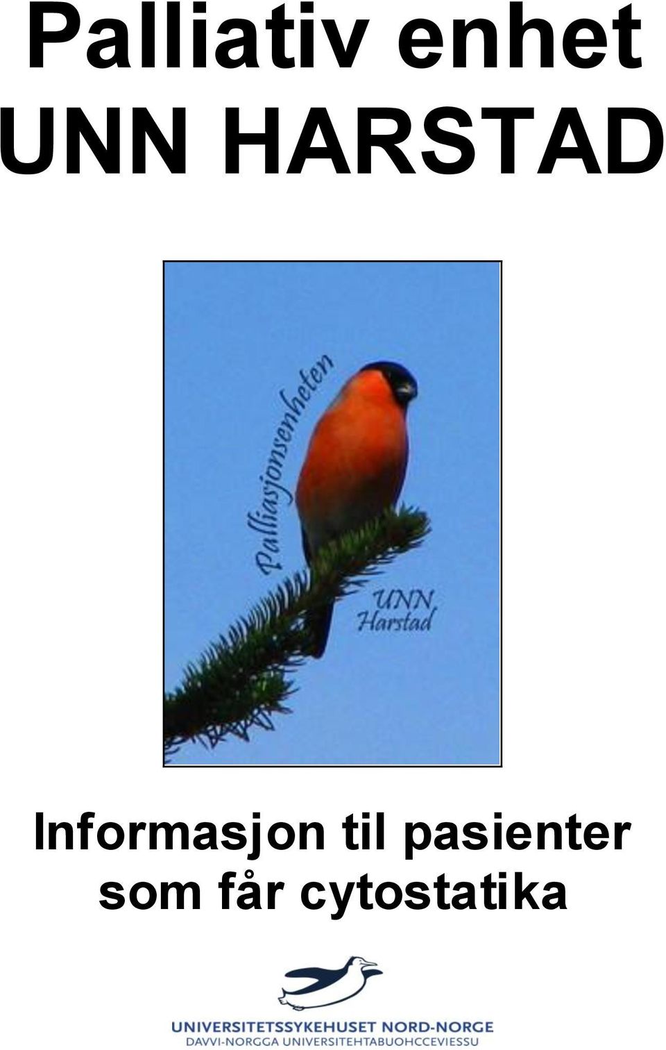 Informasjon til